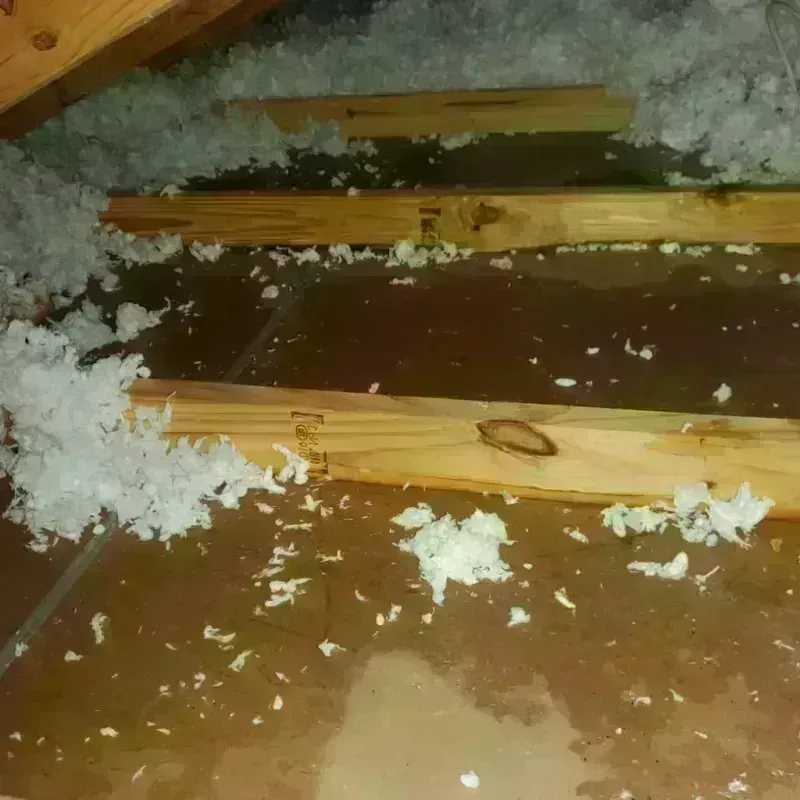 Attic Water Damage in Luckey, OH