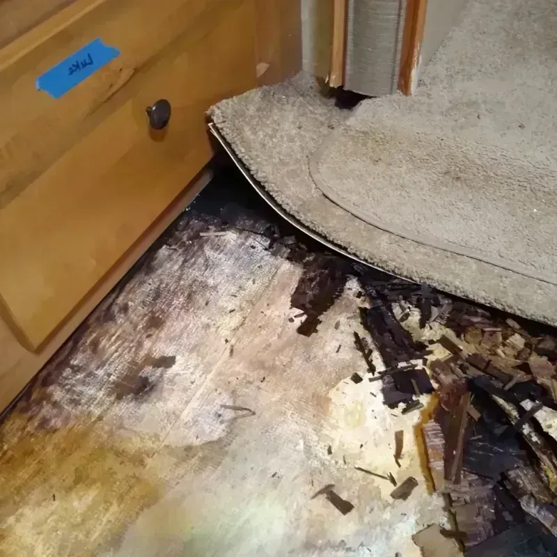 Best Wood Floor Water Damage Service in Luckey, OH